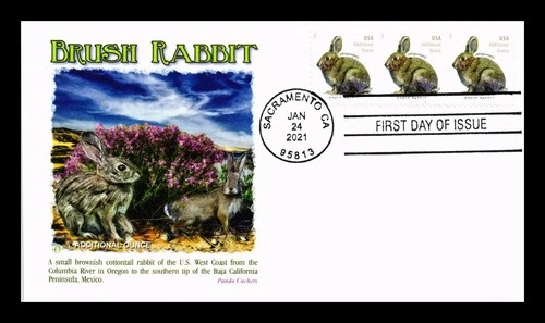US COVER FIRST DAY OF ISSUE PANDA CACHET BRUSH RABBIT ADDITIONAL OUNCE