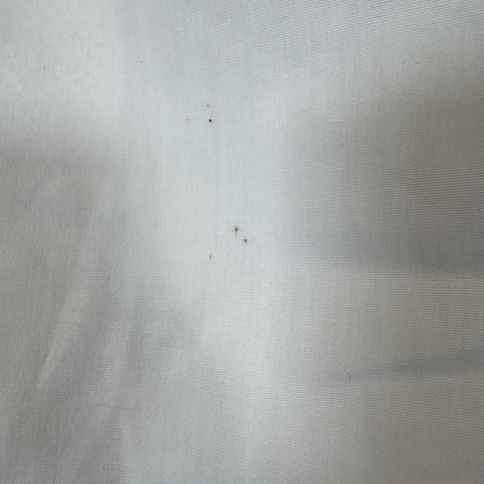 Picture 6 of 15