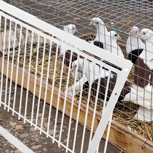 Racing Pigeon vente en gros Birds Door Pigeons Entrant Dans La Cage Voyage Porte Pour