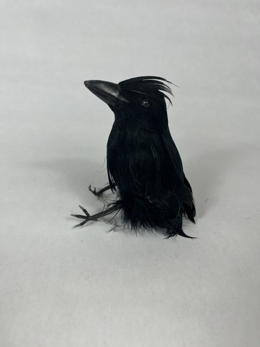 Realistische Halloween Krähe Requisiten Dekor Vogel schwarz gefiedert Krähe Weihnachtsschmuck 4" - Bild 1 von 4