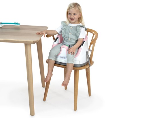 Ingenuity: Base 2 in 1 Seat - Peony - Picture 4 of 5