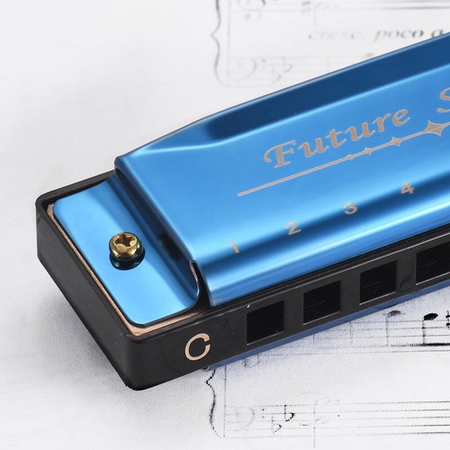 Harmonica 10 Holes Stainless Steel with ABS Reeds Blue J4H6 - Picture 3 of 10