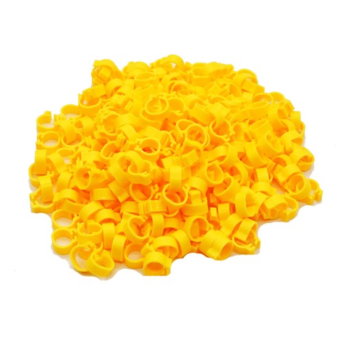200 x anello piedi uccellino piccolo colore misto fascia gambe colomba piccione pollame clip fasce - Foto 11 di 24