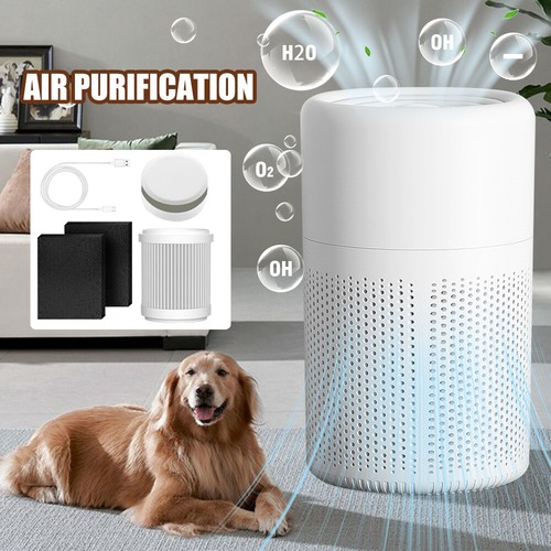 Desktop Air Purifier with True HEPA Filters Low Noise Air Cleaner for Home & Car