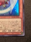 Foto 10 di 12