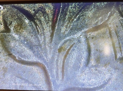 1964 D Quarter RPM - Picture 7 of 8