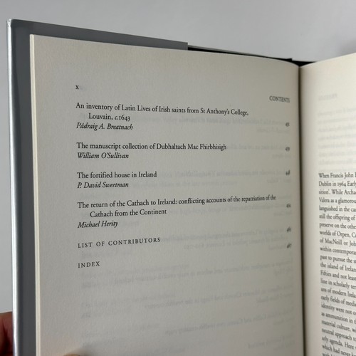 "Seanchas: Early & Medieval Irish Archaeology, History & Literature" (HC, 2000) - Bild 10 von 20