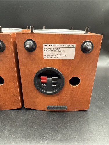 Sony SS-CEX100 Coppia Altoparlanti da Libreria Micro Hi-Fi Tono Legno Ricambio Altoparlanti - Foto 10 di 17