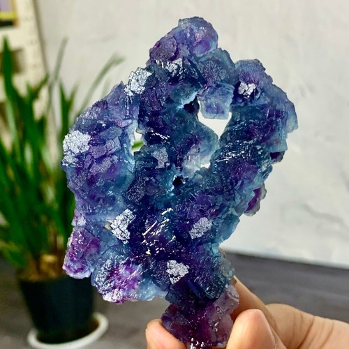171G naturale raro blu viola cubico fluorite campione cristallo minerale/Cina - Foto 8 di 20