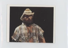 1992 Merlin WWF Album stickers Skinner #100