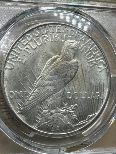 1921 Peace Silver Dollar PCGS MS 64, High Relief $1 - Picture 5 of 6