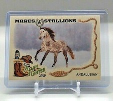 2019 Topps Allen and Ginter Mares and Stallions #MS-9 Andalusian Horse