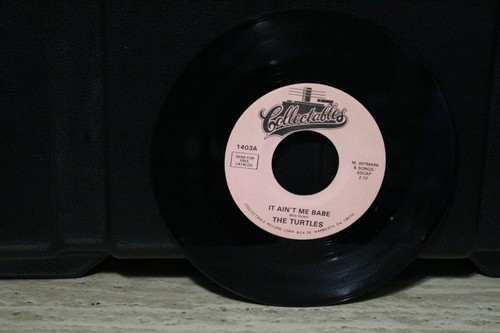 THE TURTLES 45 RPM RECORD...SCHN1 - 第 1/1 張圖片
