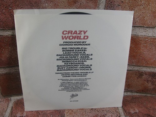 Big Trouble Crazy World ~ 1987 Epic 45 +PS 7" - Picture 2 of 5