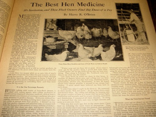 The Country Gentleman Magazine December 1st 1923 School Days, Politics, Carnival - Picture 3 of 8