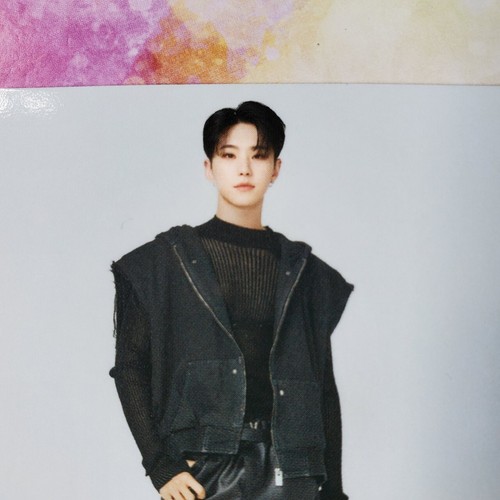 SEVENTEEN Photo card FOLLOW 2023 JAPAN TOUR Official Merchandise MD PC - 第 85/206 張圖片