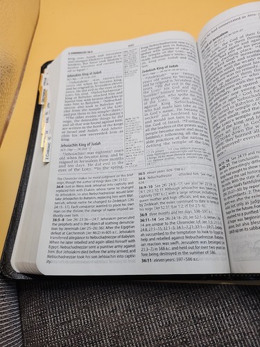 Zondervan Study Bible nouvelle version internationale NIV étude cuir collé 🔥onglet - Photo 8/13