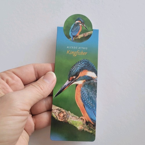 Cardmarks Kingfisher Bird Wild Nature Magnetic Magnet UK Company If 2402 Y2k 00s - Imagen 3 de 13