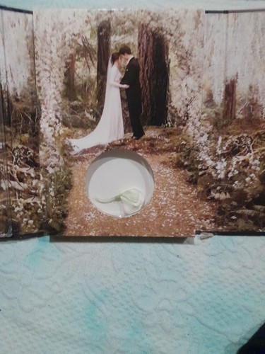 The Twilight Saga Breaking Dawn Part 1 Limited Edition Prop Flower Included - Picture 6 of 18