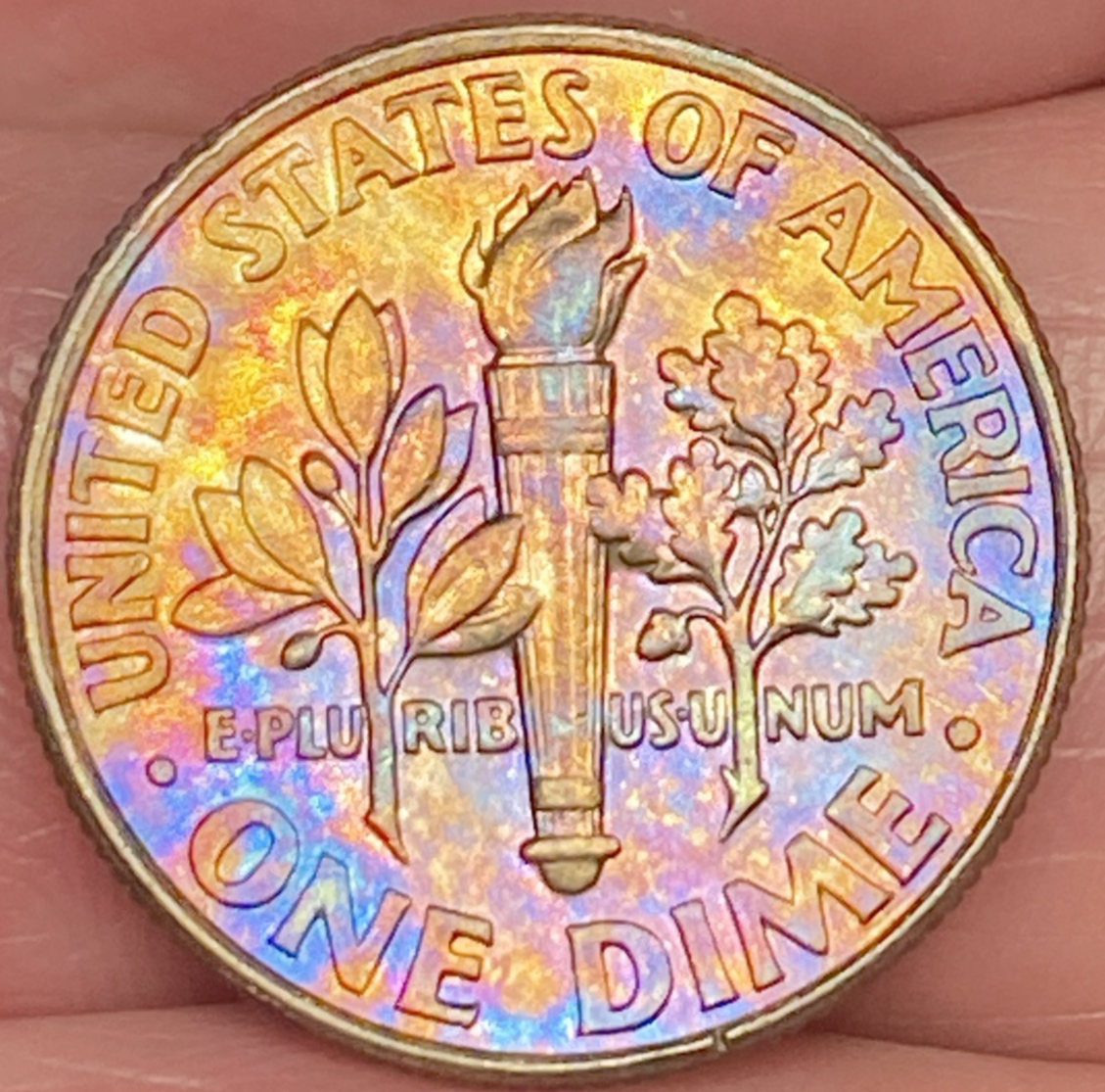 Picture 4 of 12