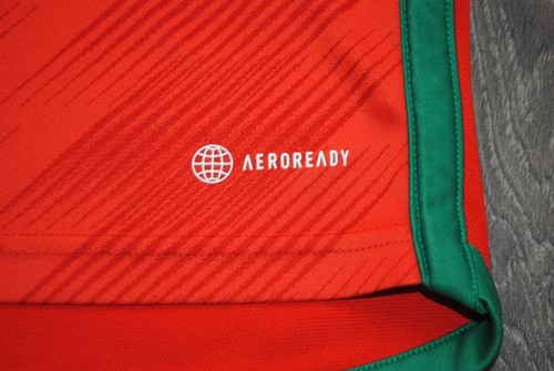 WALES 2022 2023 NATIONAL TEAM FOOTBALL SHIRT SOCCER JERSEY SIZE MENS SMALL RED - Picture 6 of 10