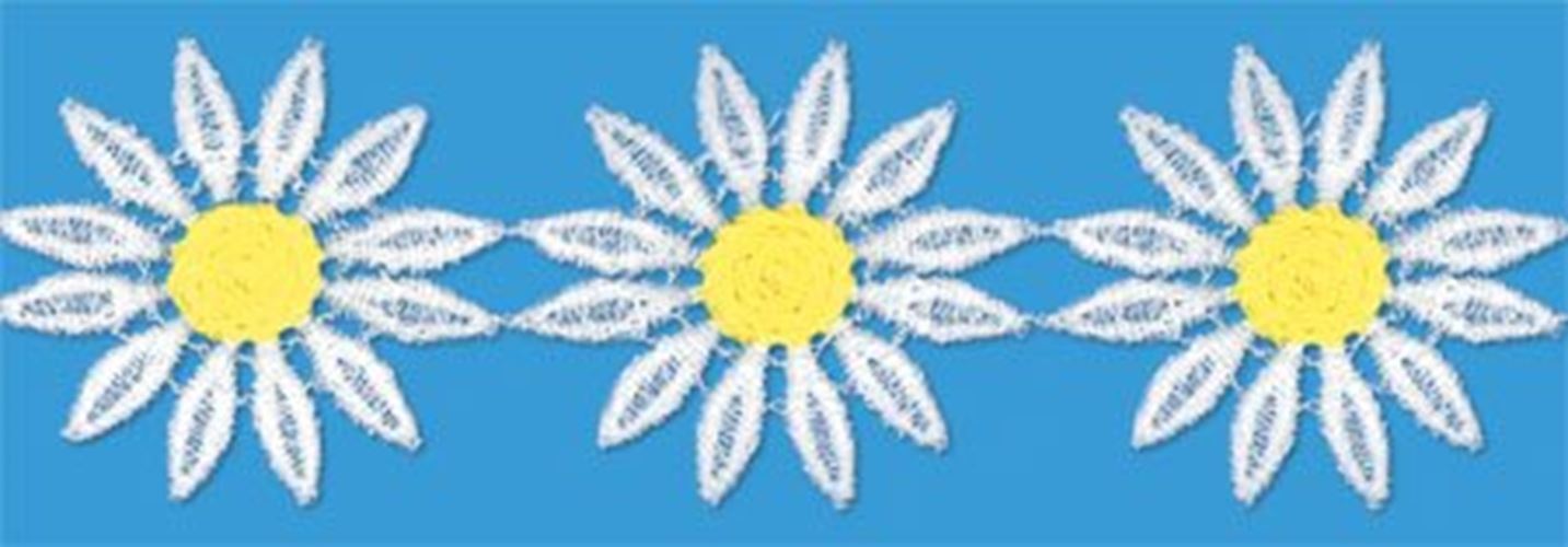 Imagen 1 de 1
