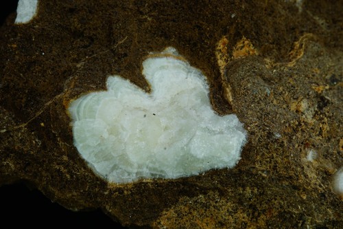 Calcite Nodules / Mineral Specimen / Gold Chain Mine, Utah - Picture 6 of 7