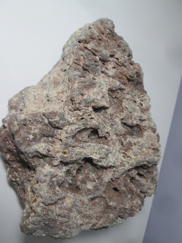 NATURAL HOLEY LACE ROCK HONEYCOMB FISH REPTILES AQUARIUM Gray Brown 5.5 LB - Picture 5 of 9