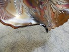 Bild 6 von 6