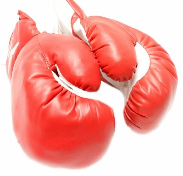 Punching Gloves and Fitness Training Red/&Black 1 Pair of 12oz Adult Boxing