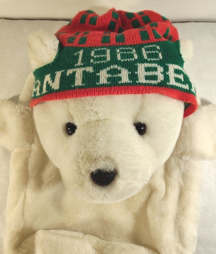 Vtg Dayton Hudson 1986 Christmas Santa Bear Backpack W/Hat Buick Trading Korea - Picture 4 of 22