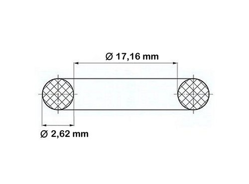 GLORIA Ø 17,16 x 2,62 mm Dichtung O-Ring für Pumpe Drucksprühgerät Hobby 100 - Picture 3 of 3