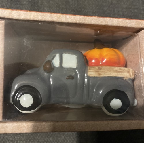 Salt and pepper shaker Grey truck pumpkin thanksgiving new Super Cute - Picture 3 of 5