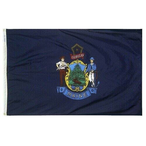 Maine Annin Flagmakers State Nylon Flag Indoor Outdoor All Sizes - Picture 12 of 15