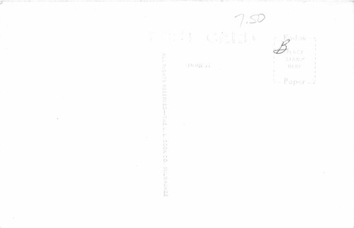 Cartolina J25/ Tracy Minnesota RPPC c1950s Third Street North Stores 264 - Foto 2 di 4