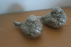 Picture 2 of 6