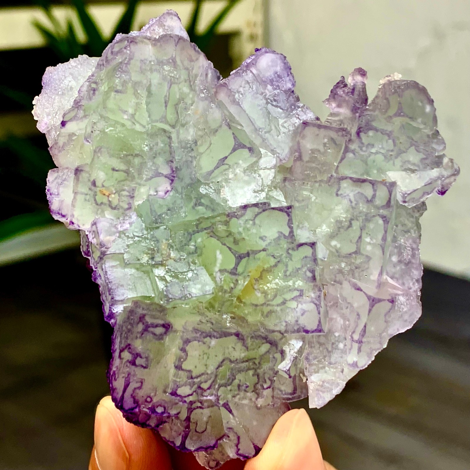 Natural Fluorite Crystal Sample in Purple Blue Green from Yaogangxian
