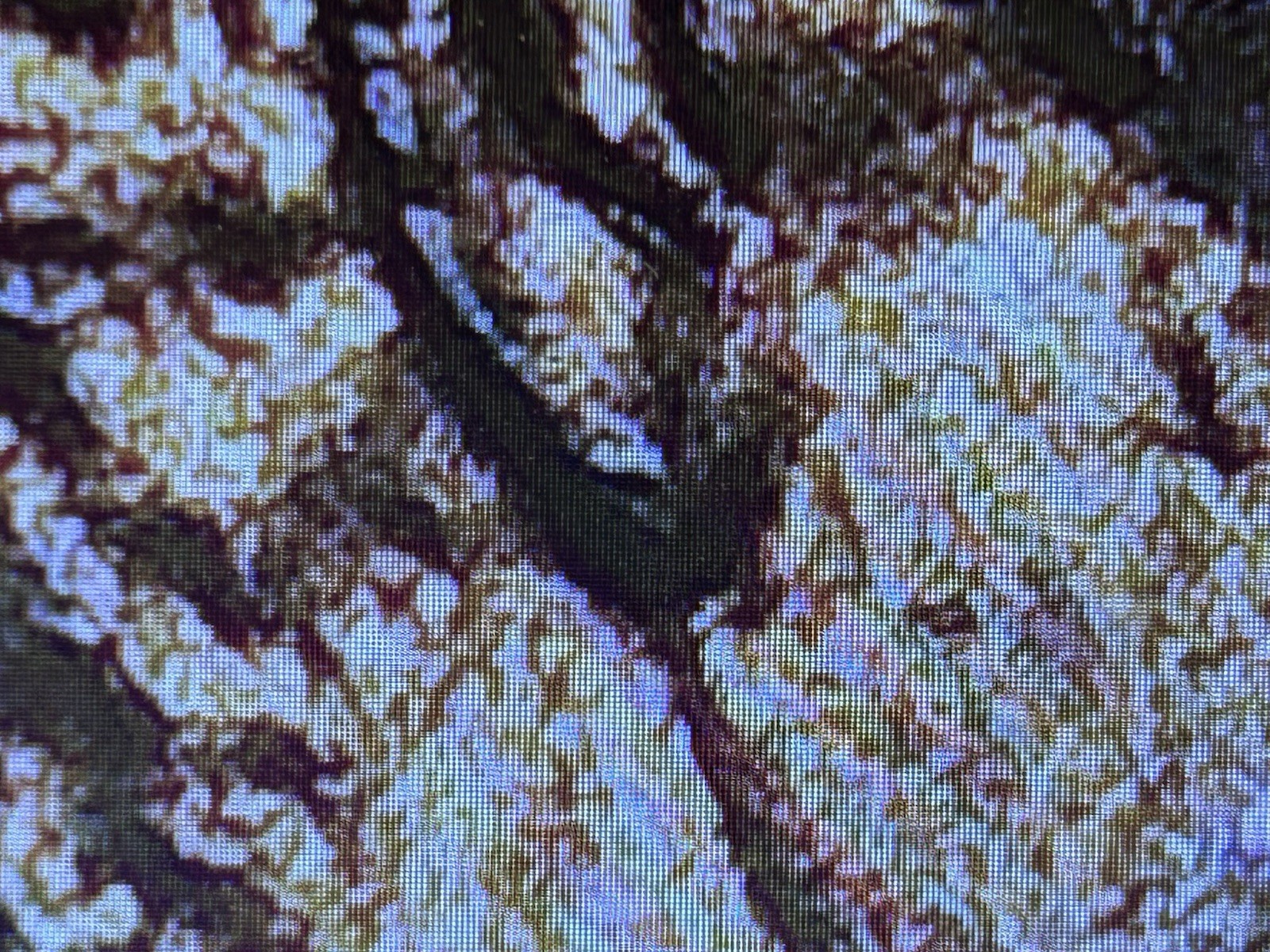 Picture 5 of 15