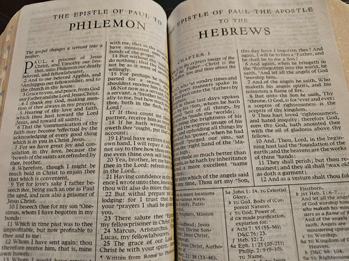 LDS HOLY BIBLE w/ References, Index, Thumb Index, Maps w/ Brown Tote Carrier - Picture 13 of 17