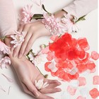  2000 PCs Rosenblätter für Schlafzimmer künstliche Rose Blumen Blütenblätter für