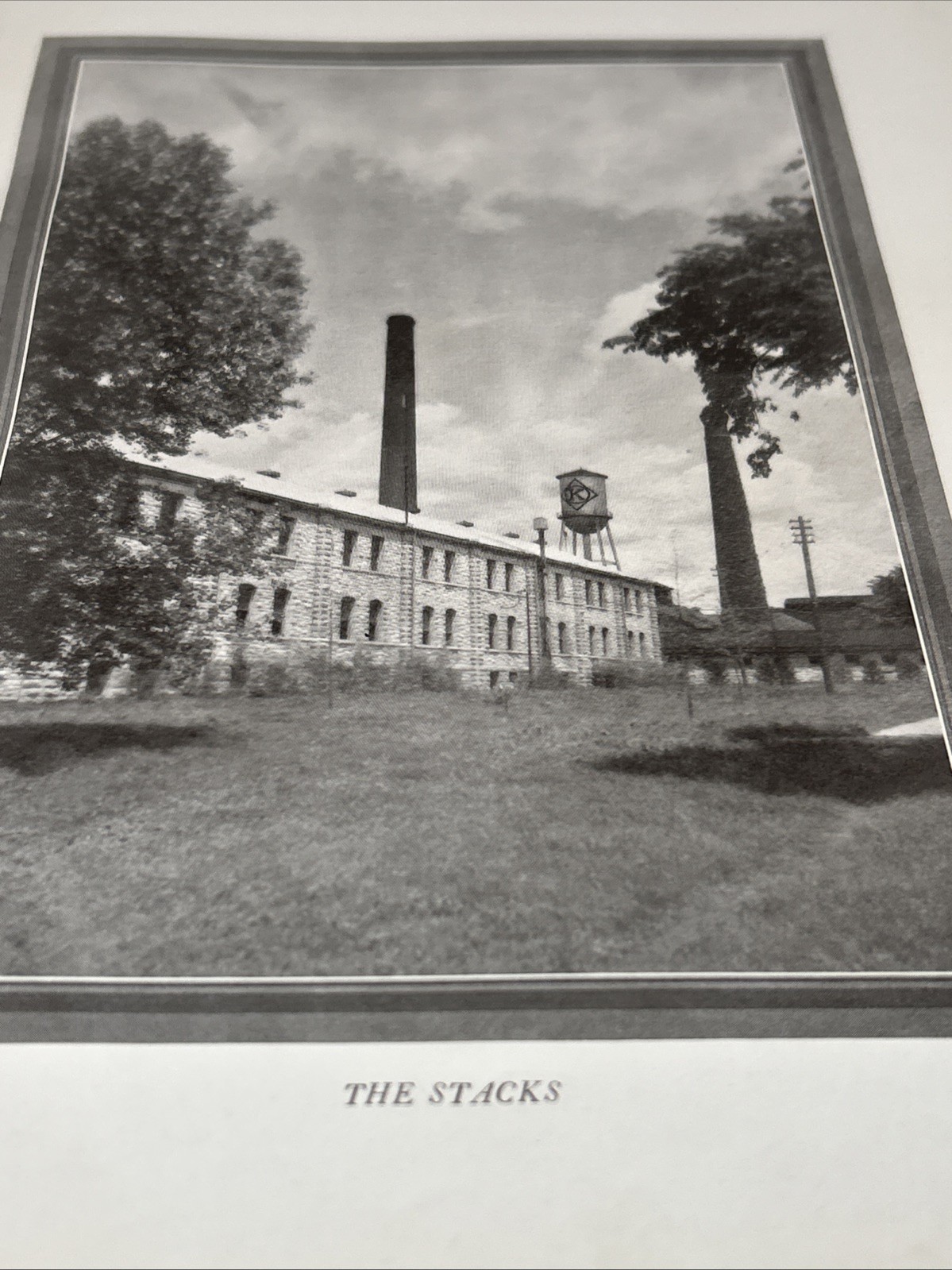Picture 5 of 12