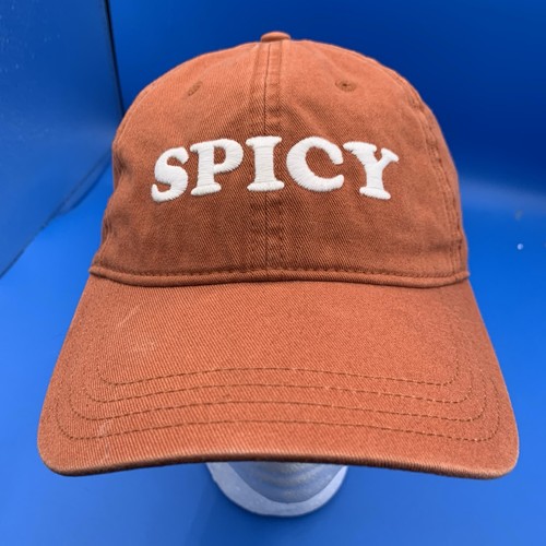 Aerie Spicy One Distressed Dad Hat Adjustable Baseball Cap OS