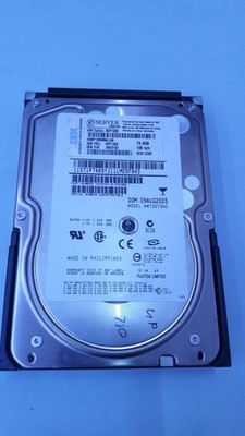 HDD IBM eServer xSeries CA06350-B15900BA 73,4 GB SCA 80 PIN 10.000 RPM geprüft