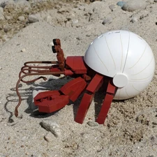 Hermit Crab Kids 128 Piece Free Shipping Set for Ages 6 and Up Gift