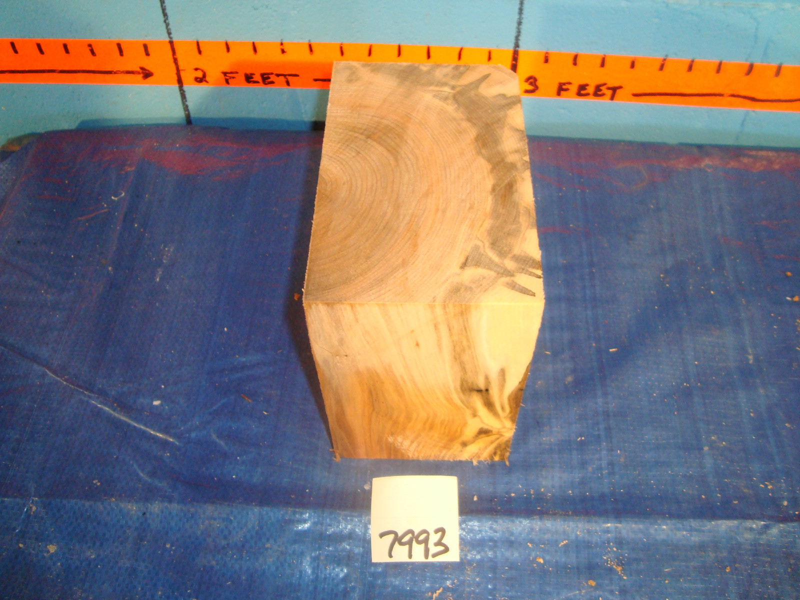 Picture 4 of 5