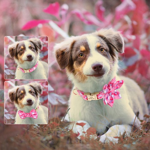 Süßes personalisiertes Hundehalsband mit Fliege/Blume Haustier Welpe personalisiert Name ID - Bild 22 von 22