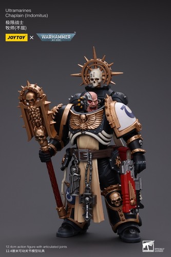 JOYTOY x Warhammer 40K Ultramarines Chaplain(Indomitus) - Picture 7 of 13