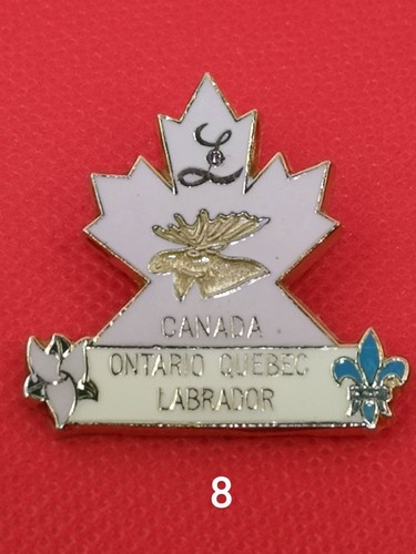 Lioness Lions Club pin lapel enamel CHOOSE- List 3 - Picture 24 of 52