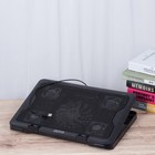 Afbeelding 10 van 12