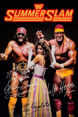 WWE WWF SUMMERSLAM CLASSIC 1988 HUGE 24"x36" Poster Art PRINT Hulk Hogan - Picture 1 of 1